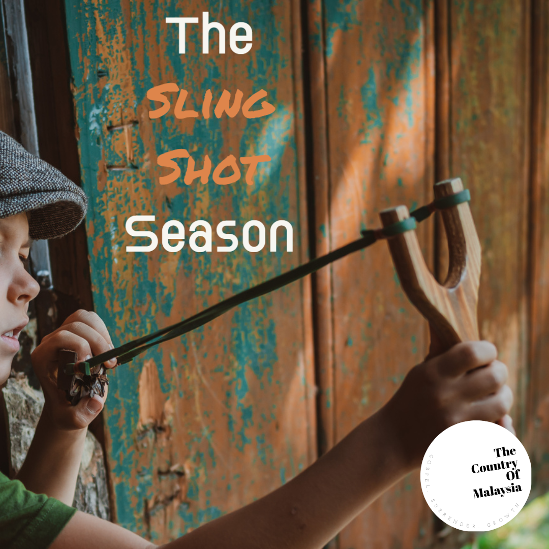 The Sling Shot Season